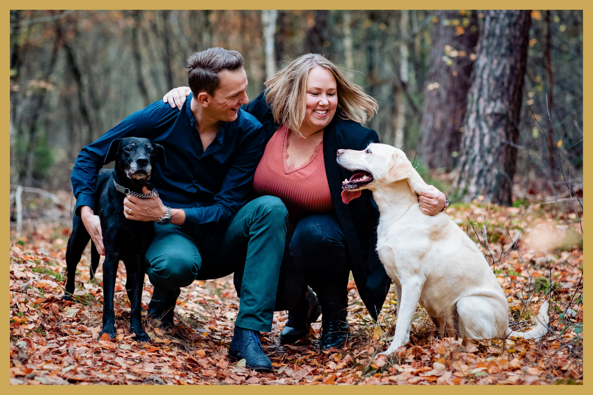 De geheimen van de twee gelukkige Labradors van Vincent Simmer