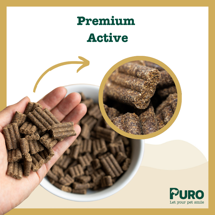 Premium - Active - Afbeelding 2