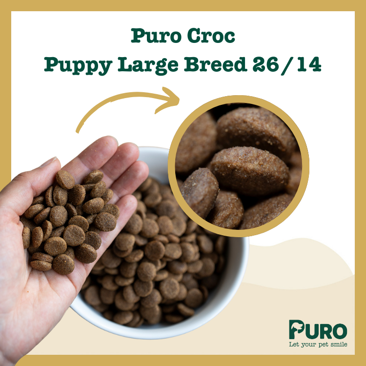 Puro Croc Puppy Large Breed 26/14 - Afbeelding 2