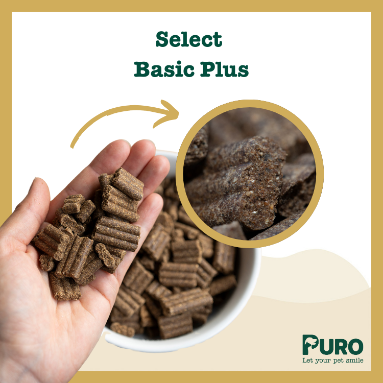 Select - Basic Plus - Afbeelding 2