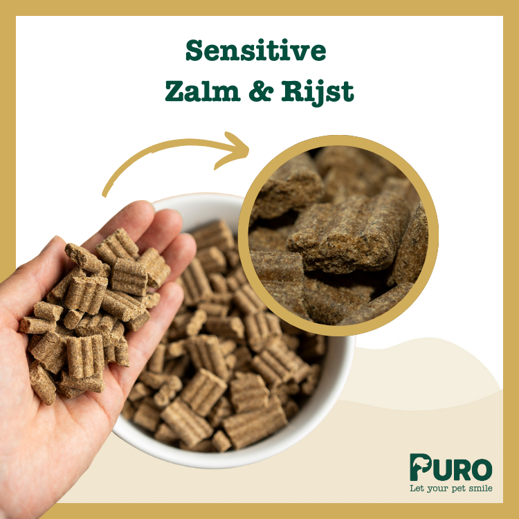 Sensitive - Zalm en Rijst - Afbeelding 2